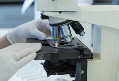 ¿Qué virus se pueden transportar mediante solución salina tamponada con fosfato (PBS)?