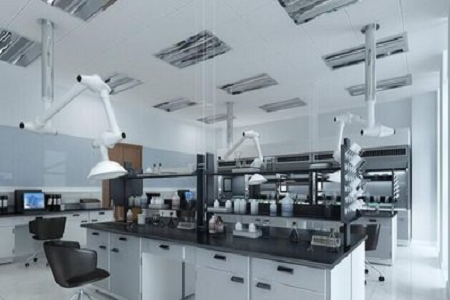 Aislamiento eficiente de Staphylococcus aureus con el medio de agar salado con manitol de BABIO