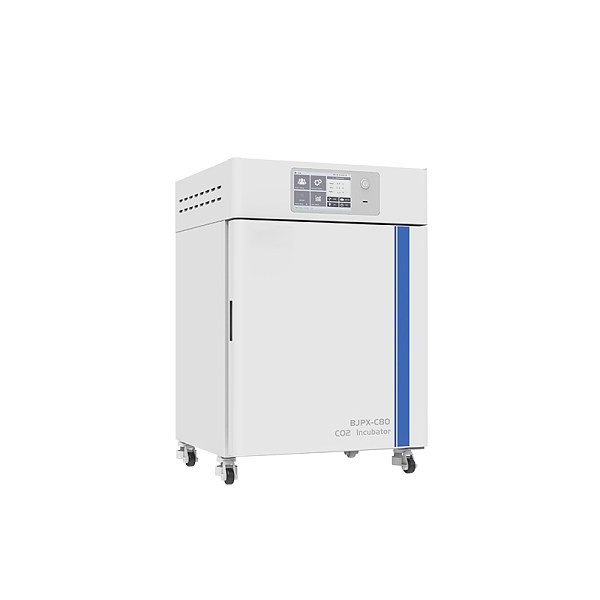Incubadora de CO₂ BJPX-C50 BJPX-C80 BJPX-C160 BJPX-C80S BJPX-C160S