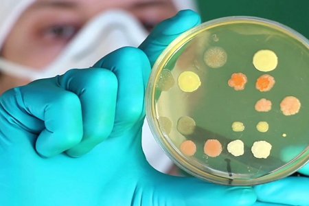Cepillo cervical citológico estéril desechable para una recolección fiable de muestras