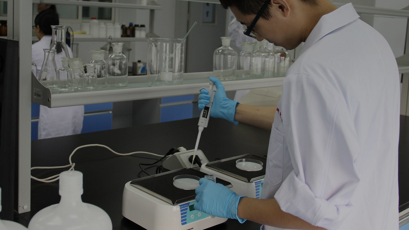 Comprensión de los medios de cultivo deshidratados