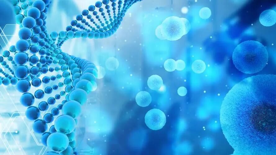 Cultivo optimizado de hongos con el agar dextrosa Sabouraud de BABIO