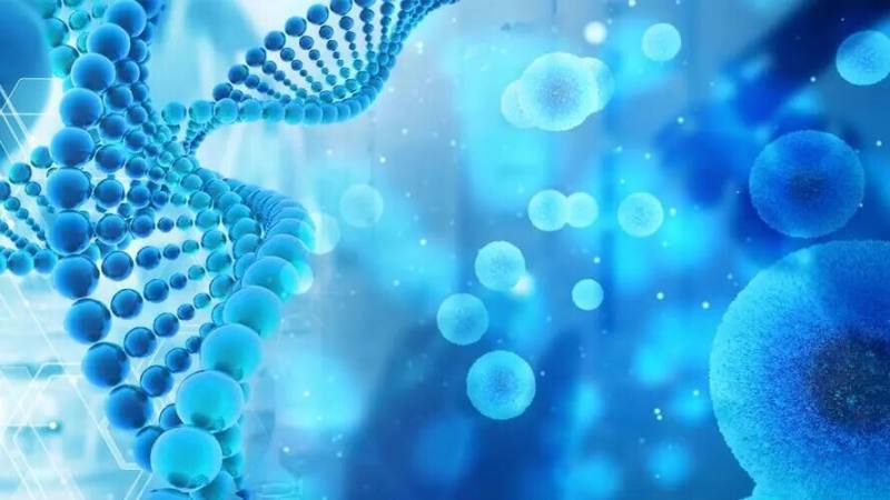 Medio de agua peptonada: una solución práctica para la prueba de indol y la identificación microbiana