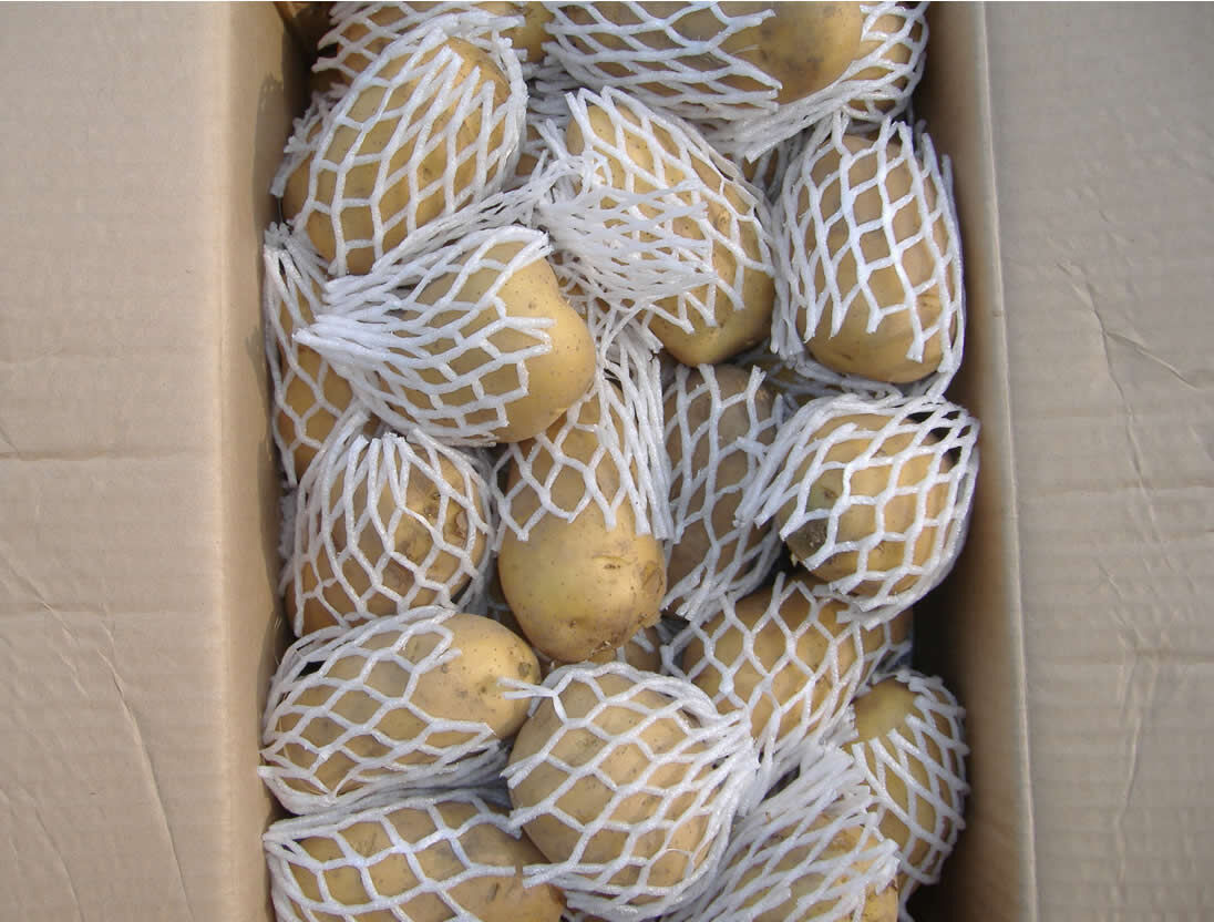 Fresh Potato / Holland 7 / 10kg carton / 8kg carton