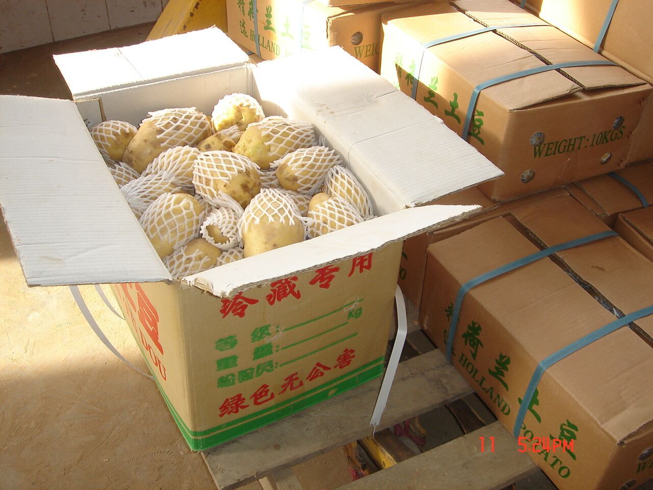 Fresh Potato / Holland 7 / 10kg carton / 8kg carton