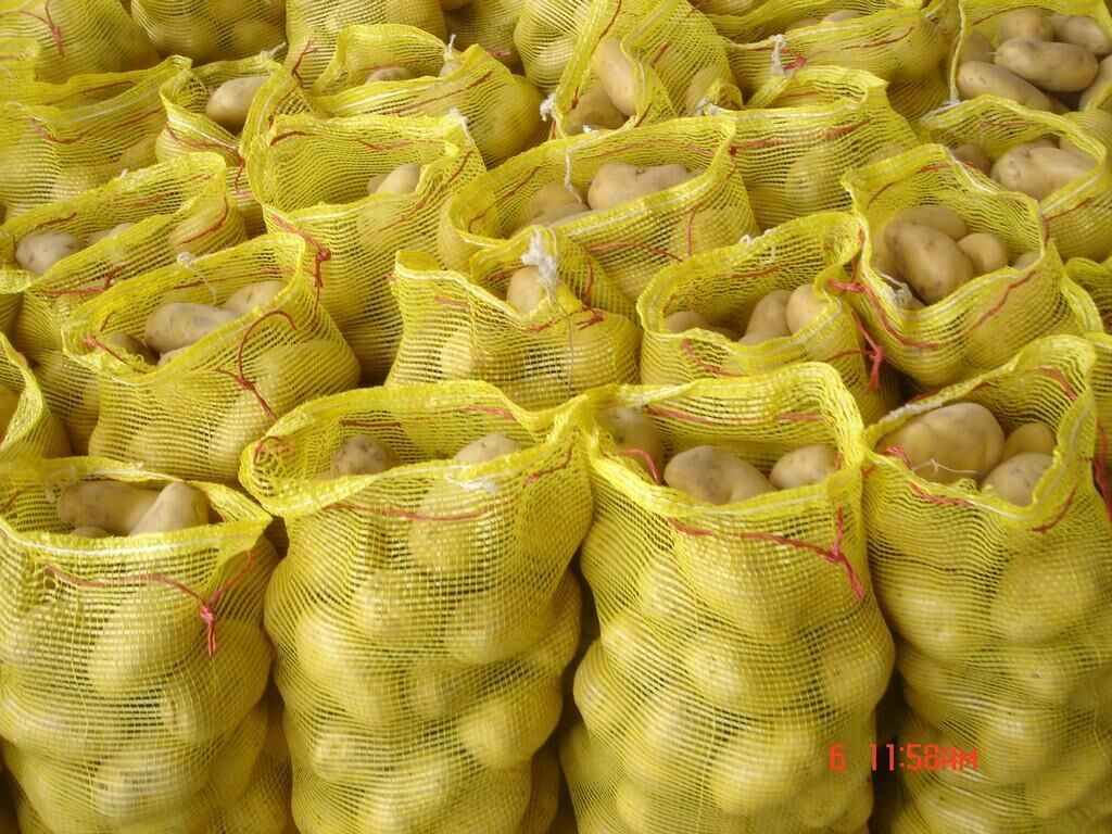 Fresh Potato / Holland 7 / 10kg carton / 8kg carton