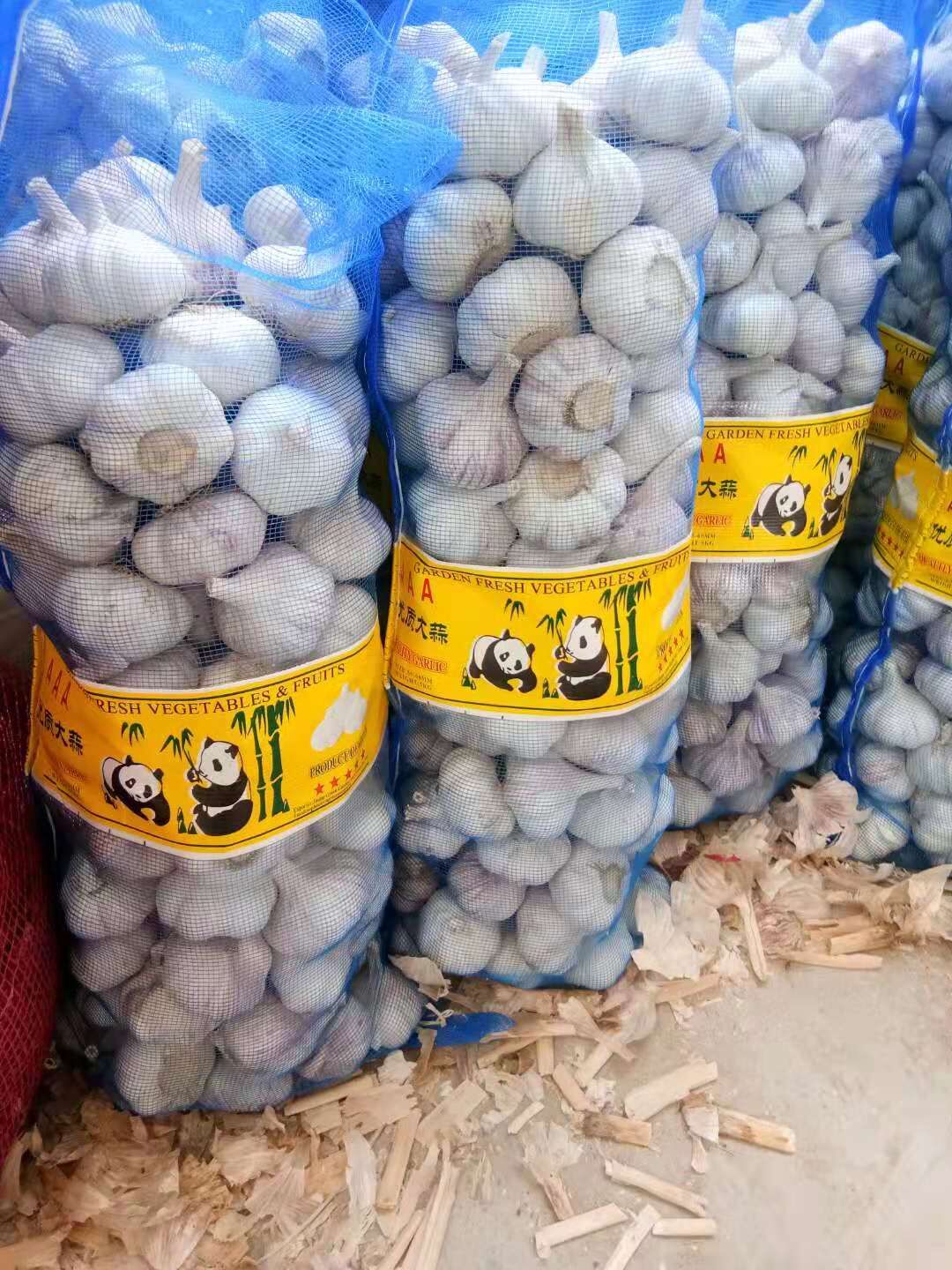 Fresh Garlic in Loose Mesh Bag