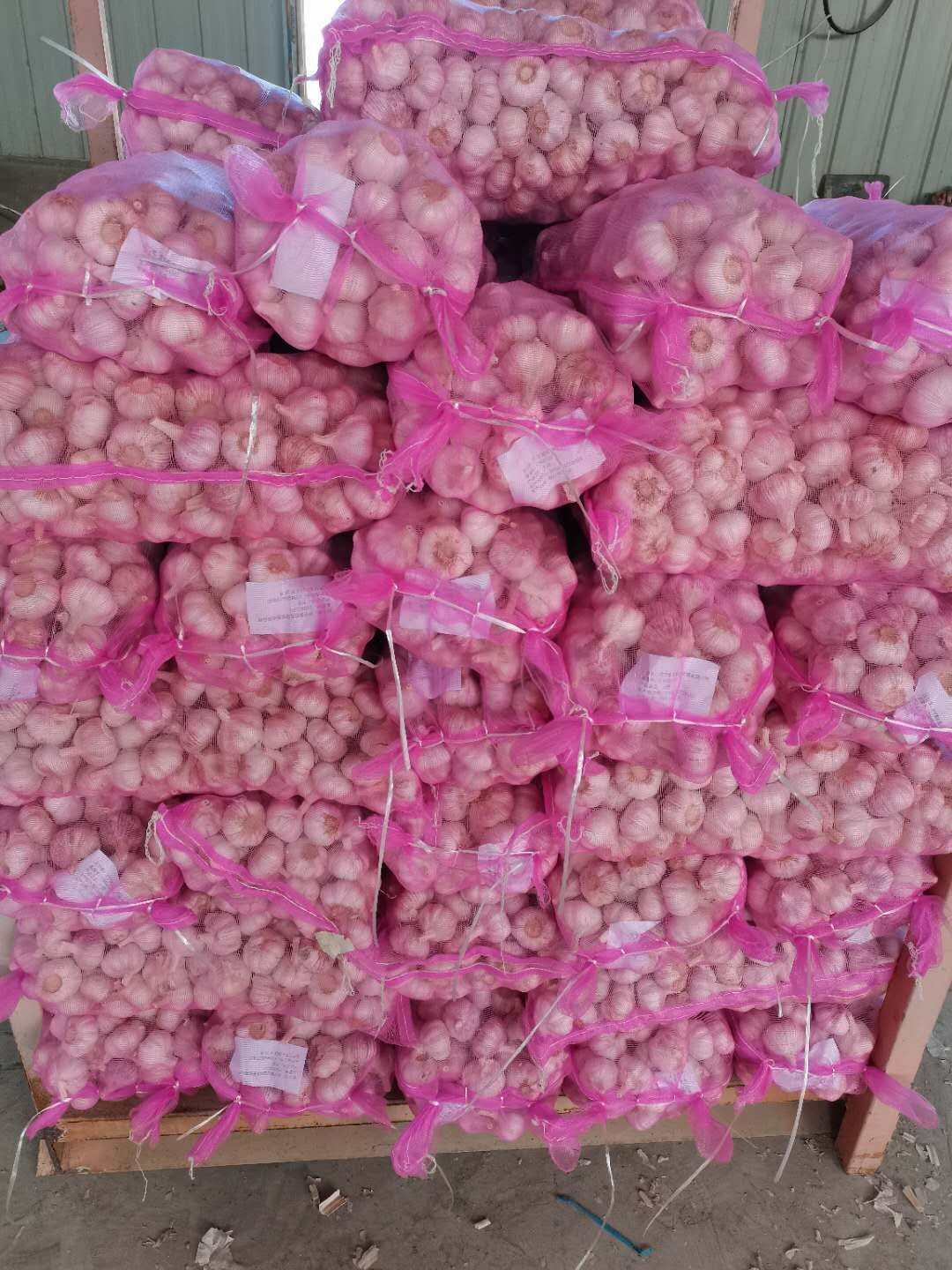 Fresh Garlic in Loose Mesh Bag