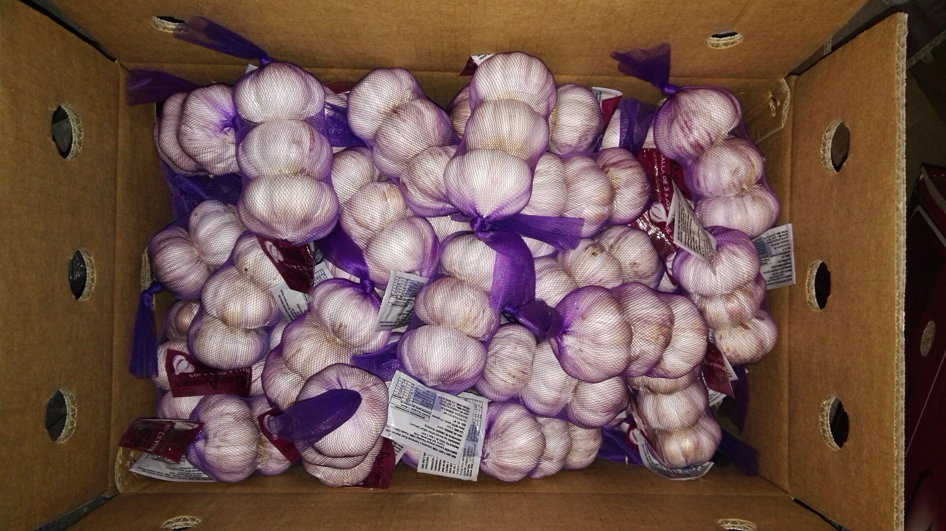 Fresh Garlic Ail Frais Ajo Chino Blanco Alho 3p/bag