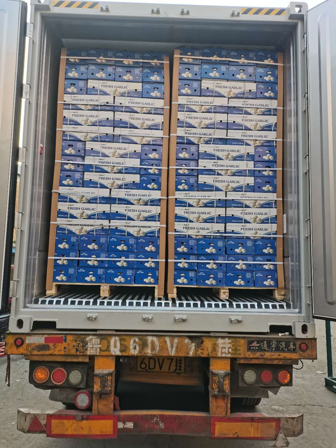 Normal White Garlic 4p/bag  200g/bag