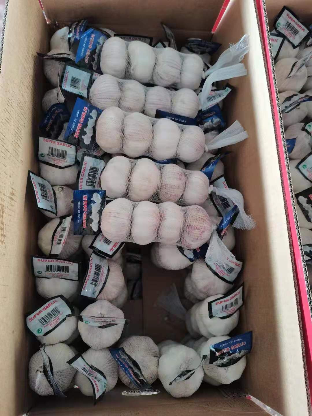 Normal White Garlic 4p/bag  200g/bag