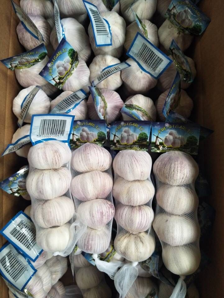 Normal White Garlic 4p/bag  200g/bag