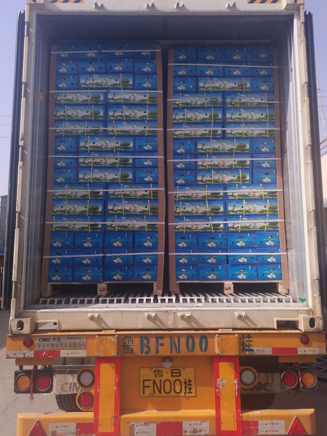 Normal White Garlic 4p/bag  200g/bag