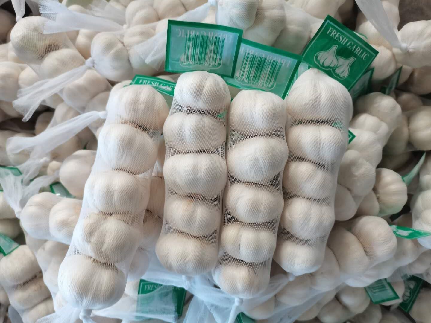 Pure White Garlic /  Red Garlic  5p/bag  250g/bag