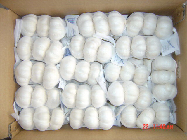 Fresh Garlic Ail Frais Ajo Chino Blanco Alho 3p/bag