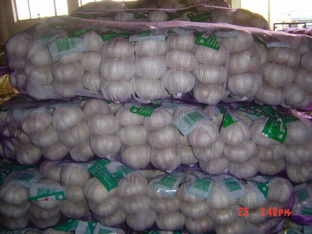 Fresh Garlic Ail Frais Ajo Chino Blanco Alho 3p/bag