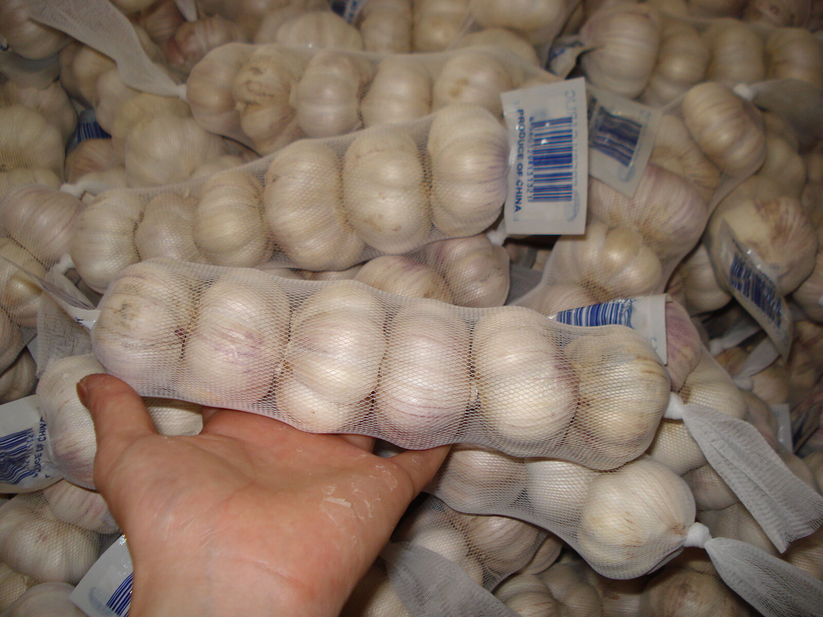 Fresh Garlic 6p/bag , 7p/bag