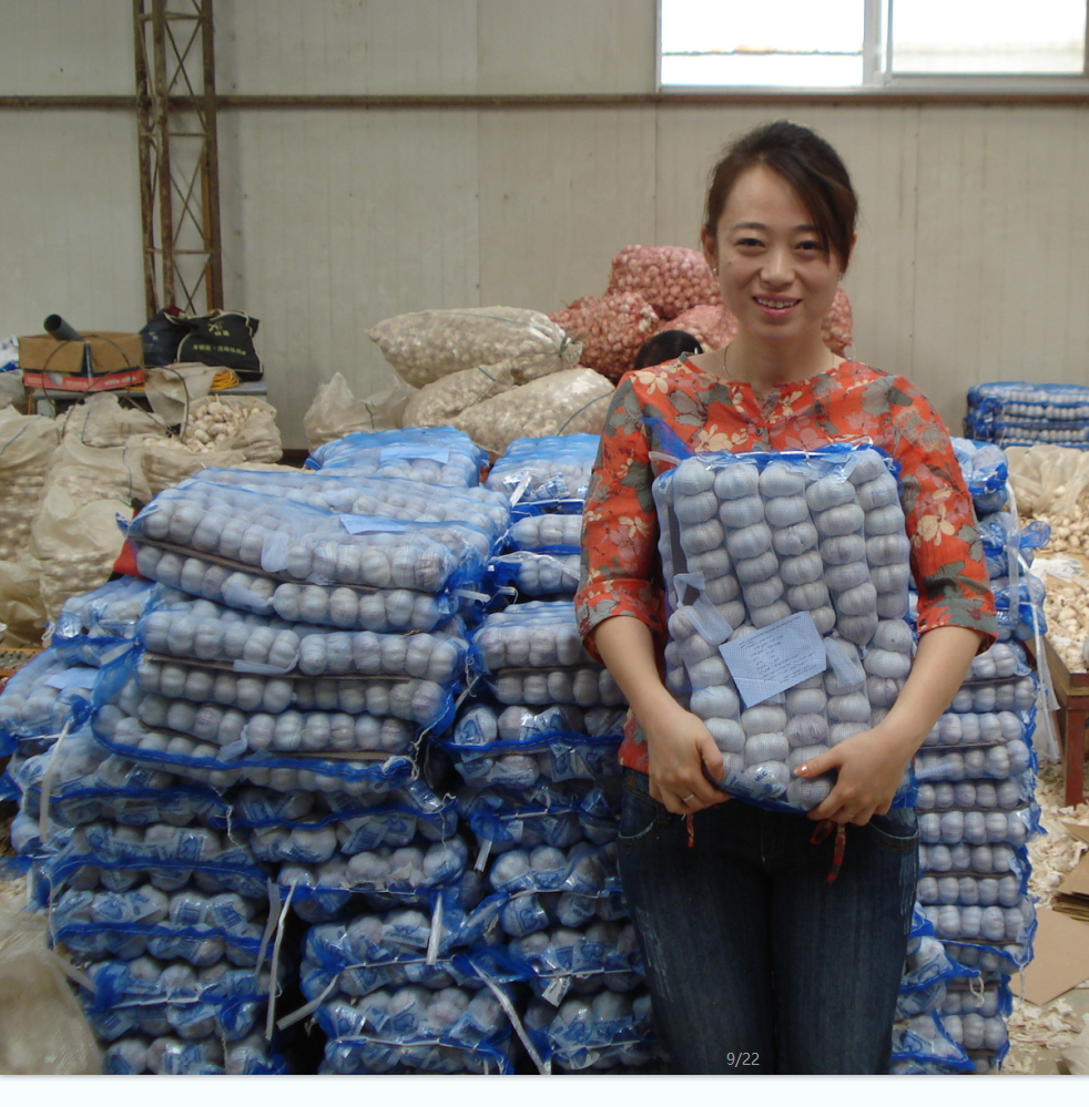 Fresh Garlic 6p/bag , 7p/bag