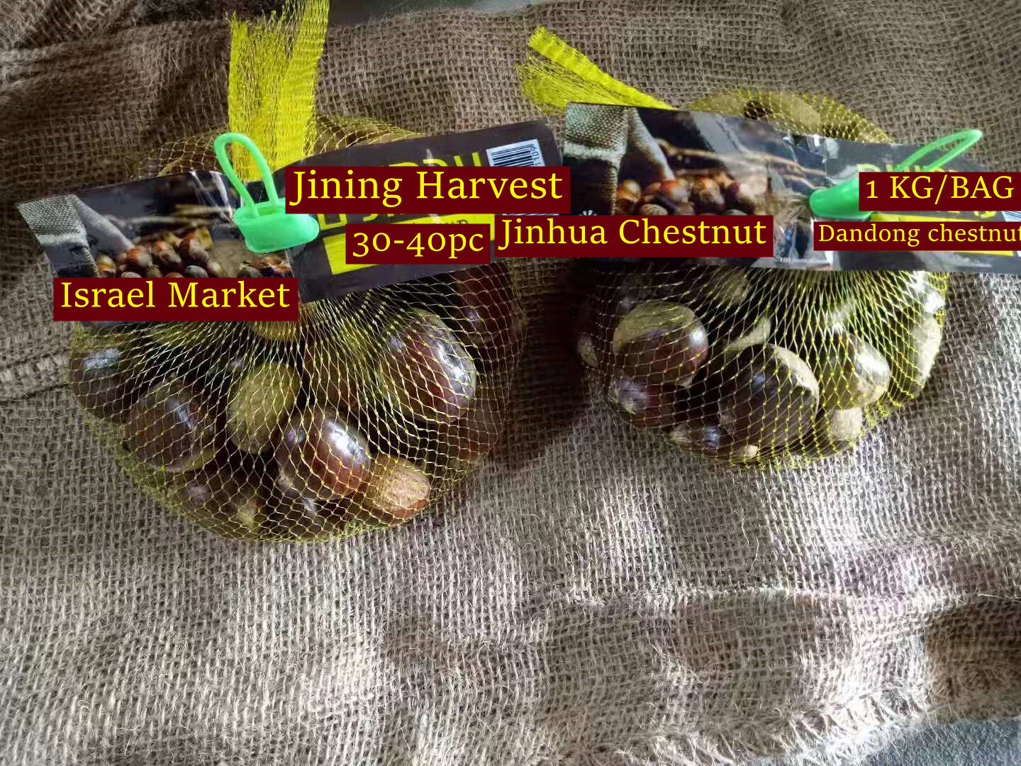 Fresh Chestnut /Dandong chestnut   1kg round bag 10kg/jute bag
