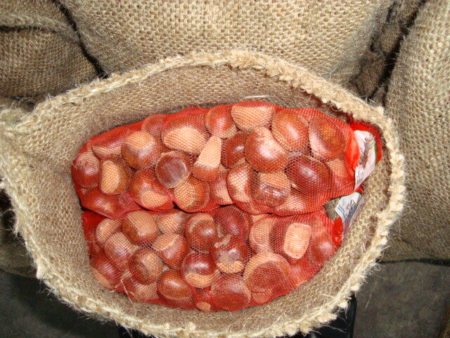 Dandong Chestnut / Jinhua Chestnut  1kg long bag