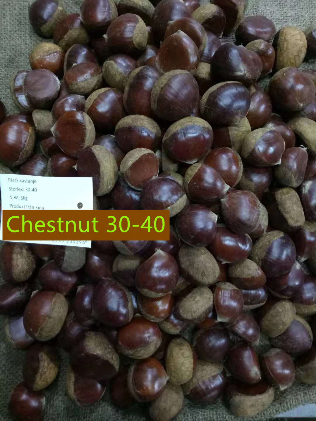 Fresh Chestnut /Dandong chestnut   1kg round bag 10kg/jute bag