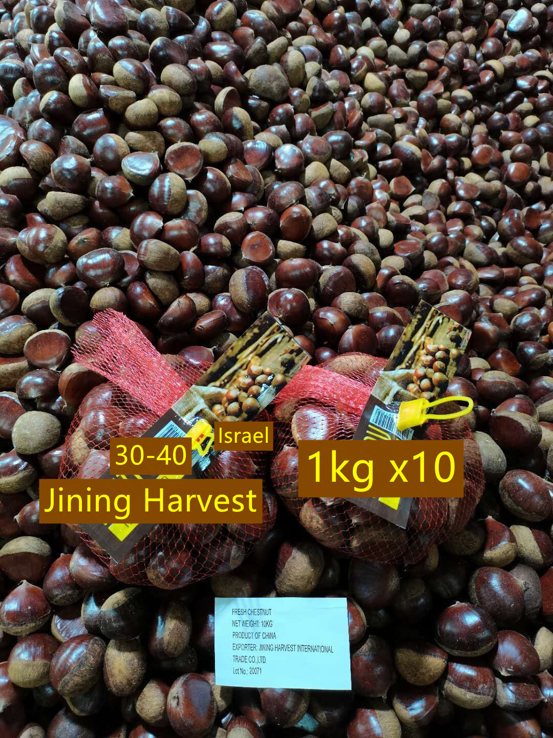 Easy Peeled Small Chestnut / Qianxi Chestnut  60-80pcs , 1kg round bag