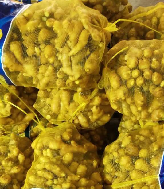 Fresh Ginger / Washed Ginger  in mesh bag