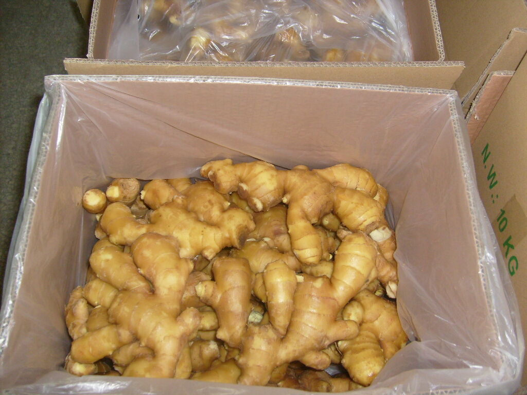 Fresh Ginger / Washed Ginger  in carton