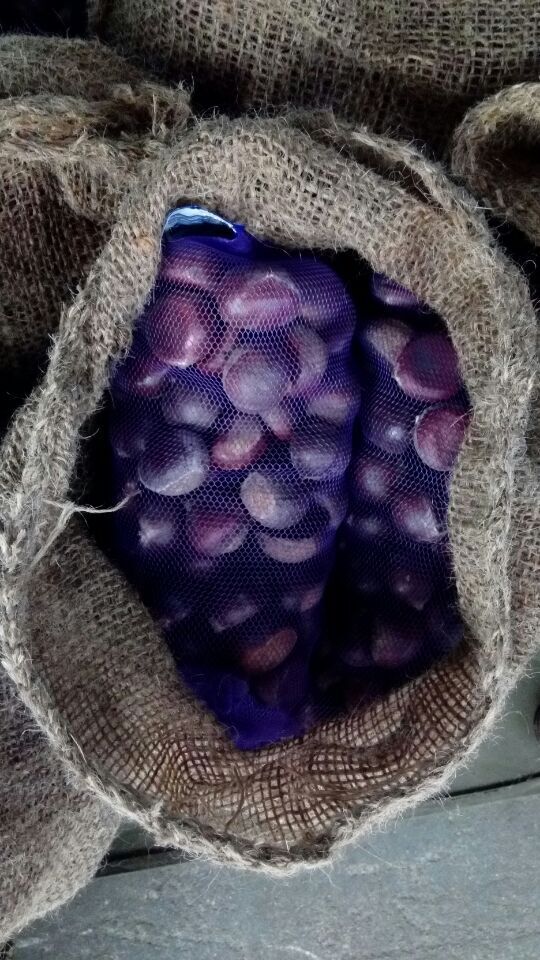 Dandong Chestnut / Jinhua Chestnut  1kg long bag