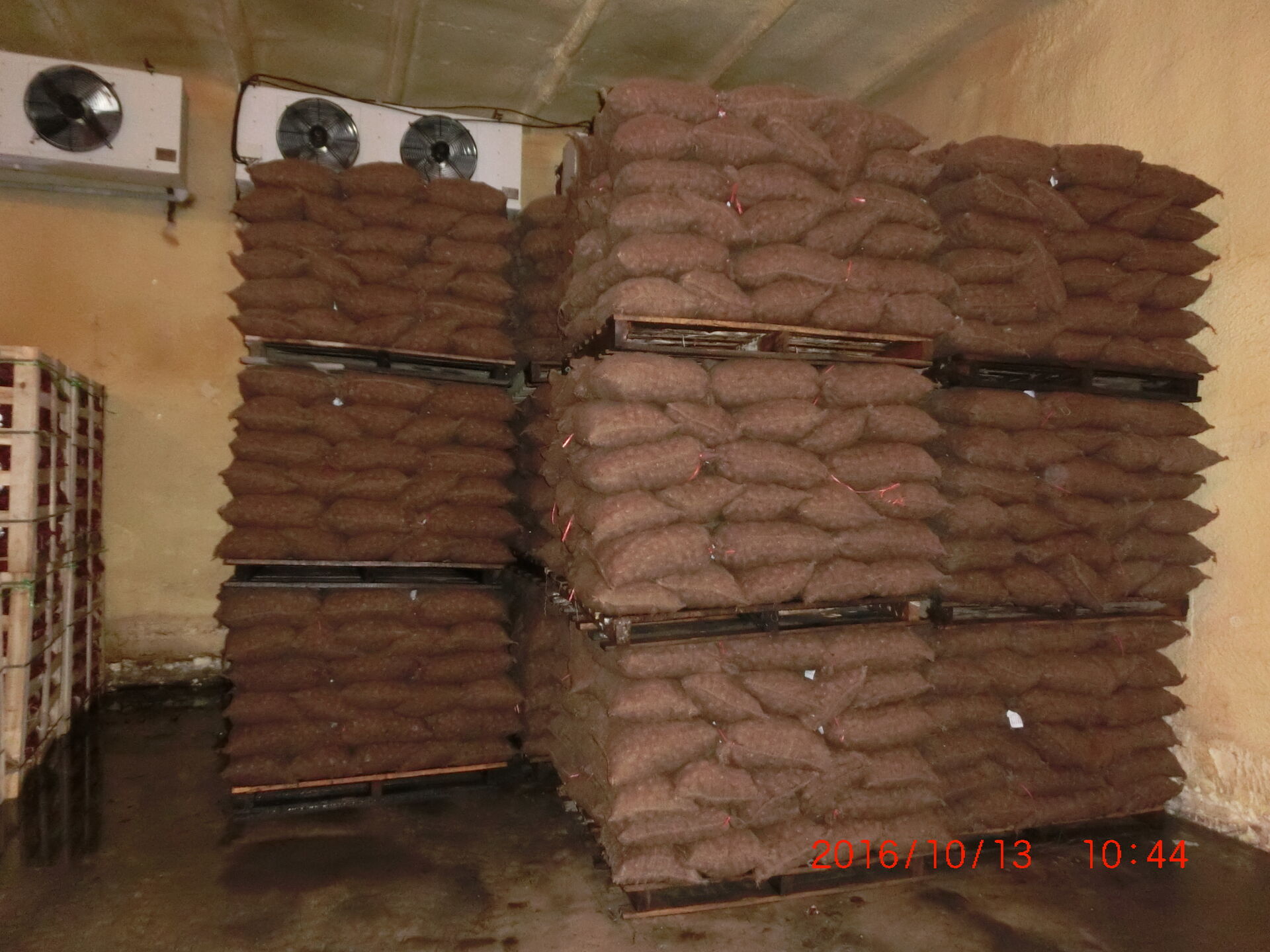 Dandong Chestnut / Jinhua Chestnut  1kg long bag