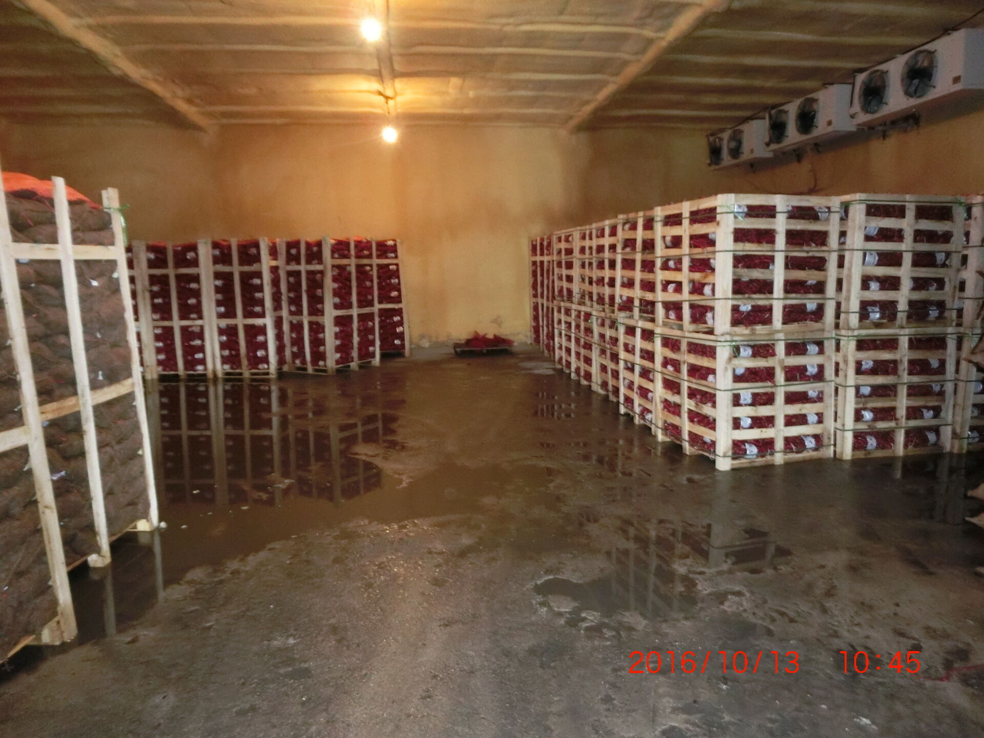 Easy Peeled Small Chestnut / Qianxi Chestnut  60-80pcs , 1kg round bag