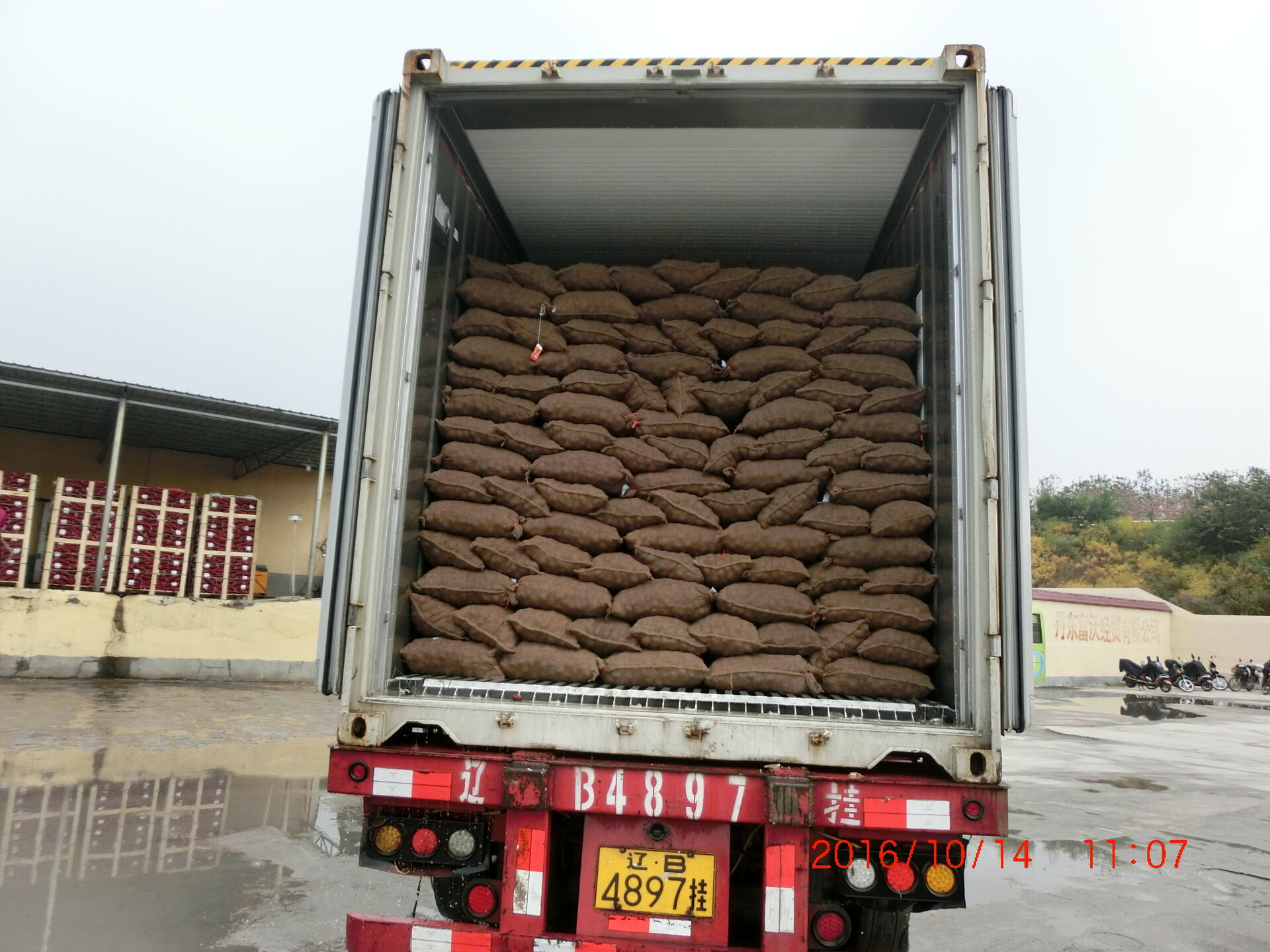 Easy Peeled Small Chestnut / Qianxi Chestnut  60-80pcs , 1kg round bag