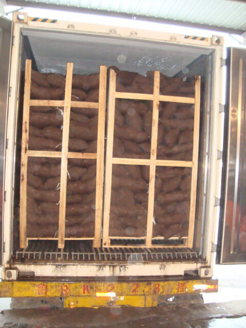 Easy Peeled Small Chestnut / Qianxi Chestnut  60-80pcs , 1kg round bag