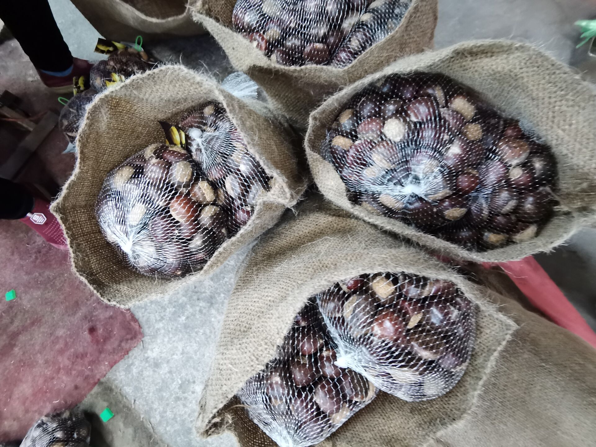 Easy Peeled Small Chestnut / Qianxi Chestnut  60-80pcs , 1kg round bag