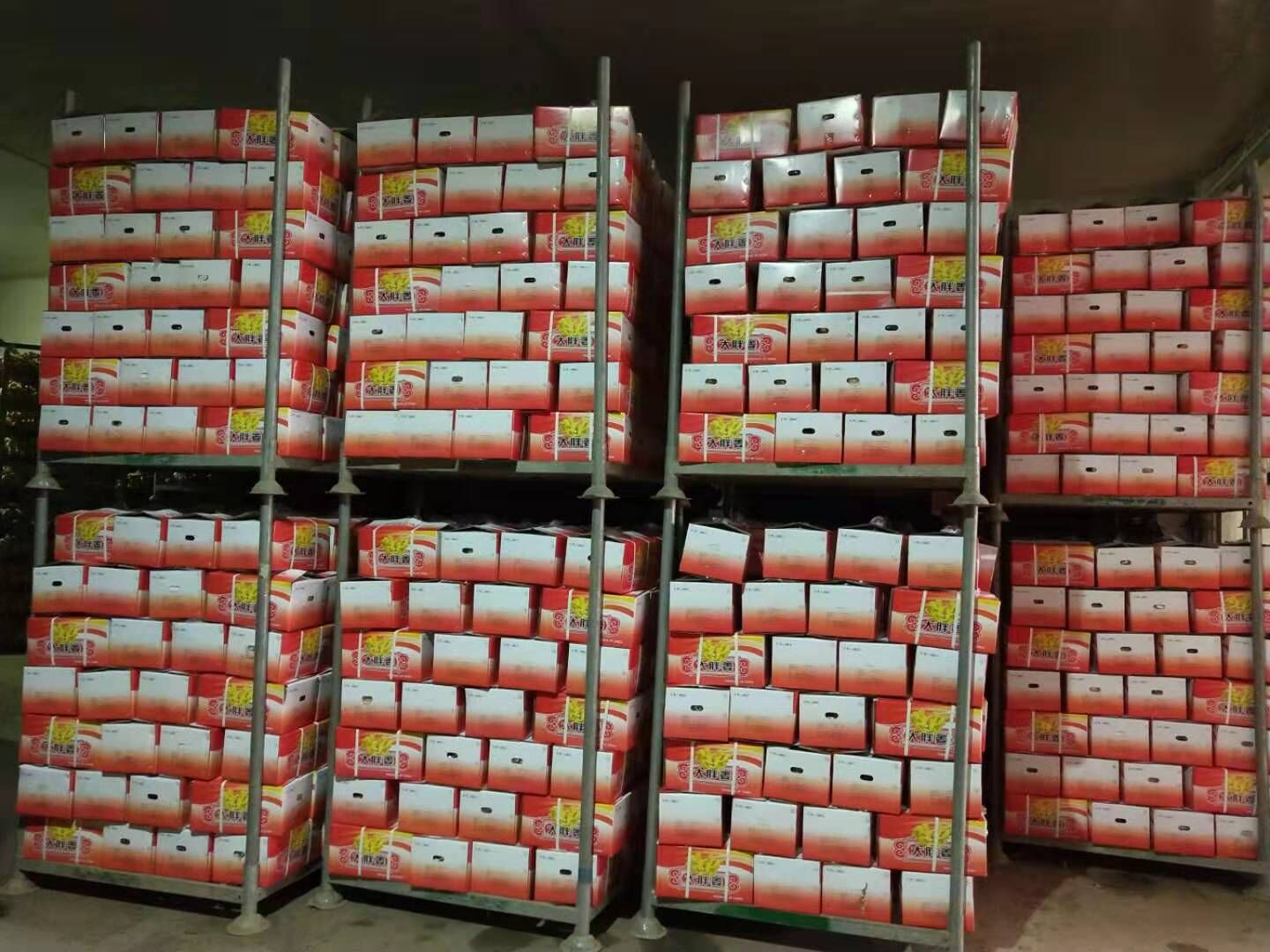 Fresh Ginger / Washed Ginger  in carton