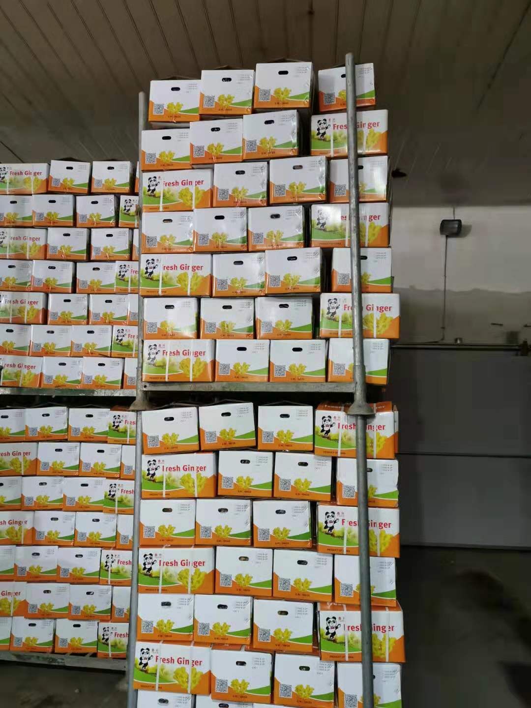 Fresh Ginger / Washed Ginger  in carton