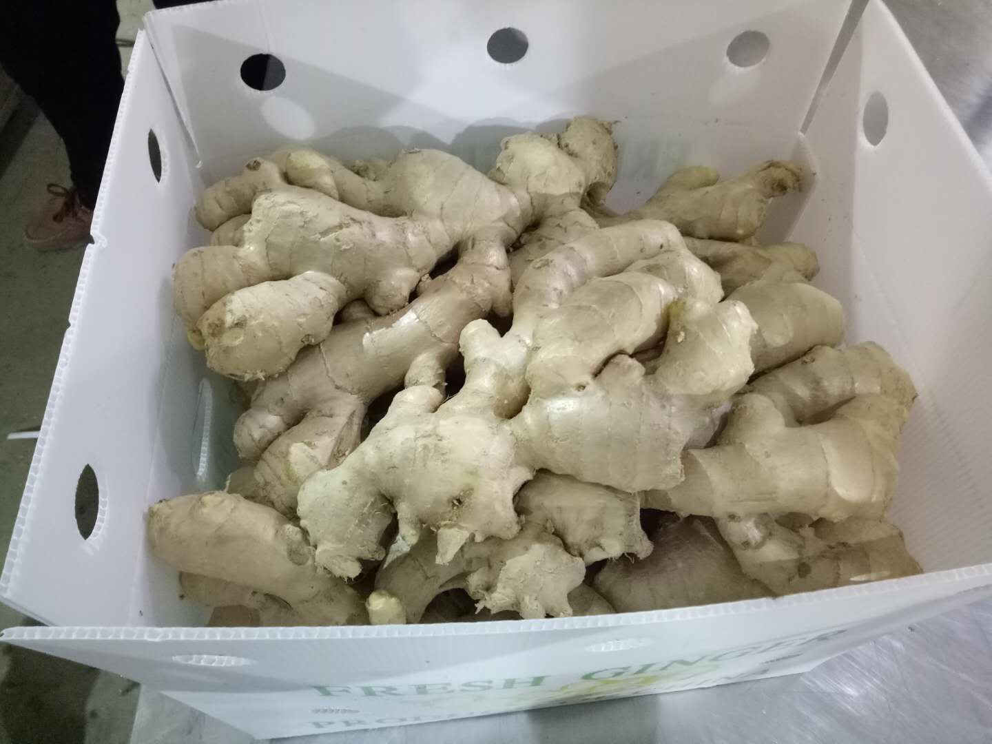 Air Dried Ginger  in 10kg plastic box