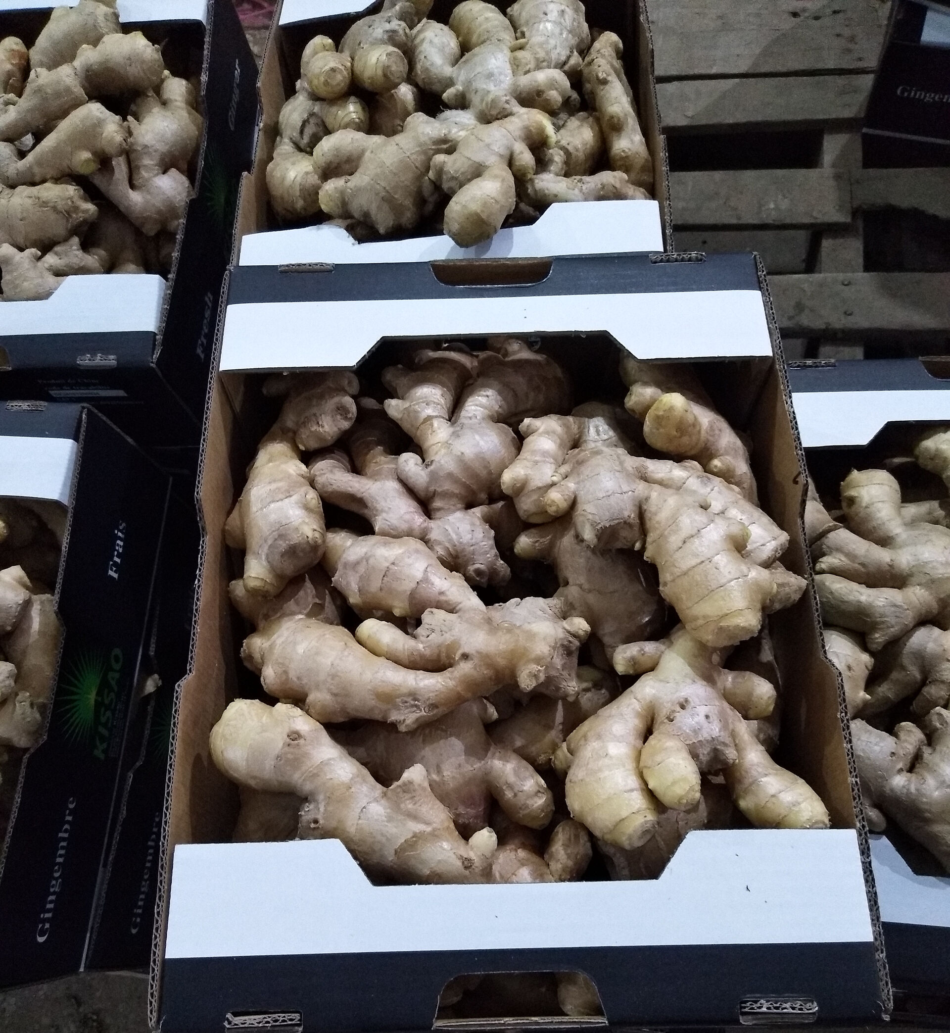 Air Dried Ginger / Dry Ginger / Fresh Ginger  in 10kg or 30 lb top open carton