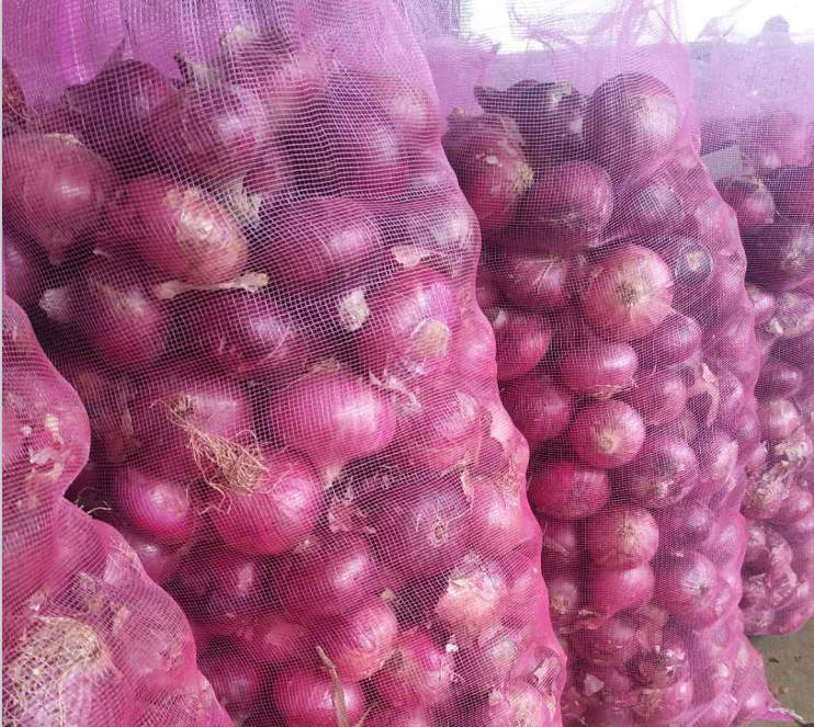 Fresh Onion / Red Onion/ Flat onion in mesh bag
