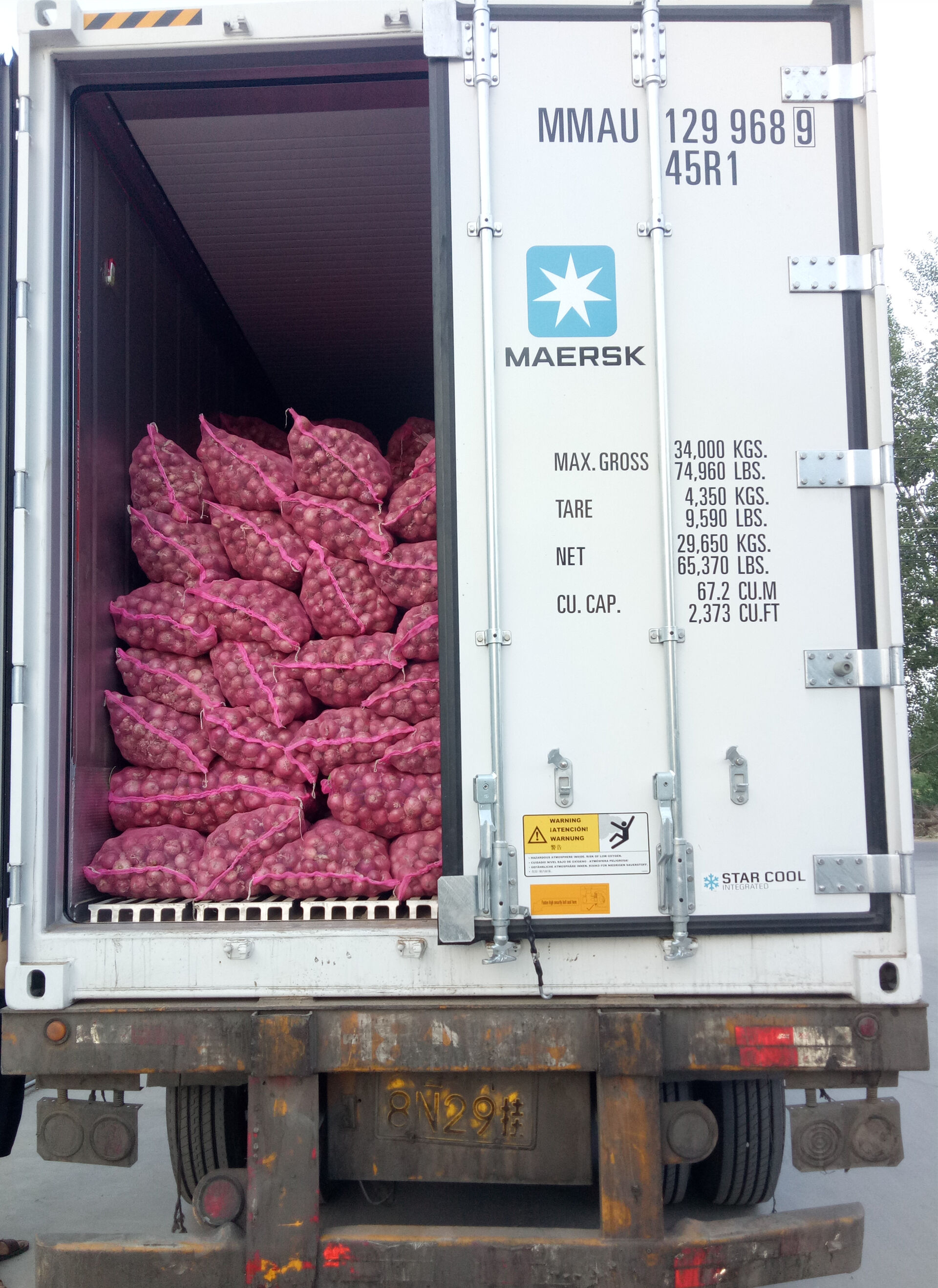 Fresh Onion / Red Onion/ Flat onion in mesh bag