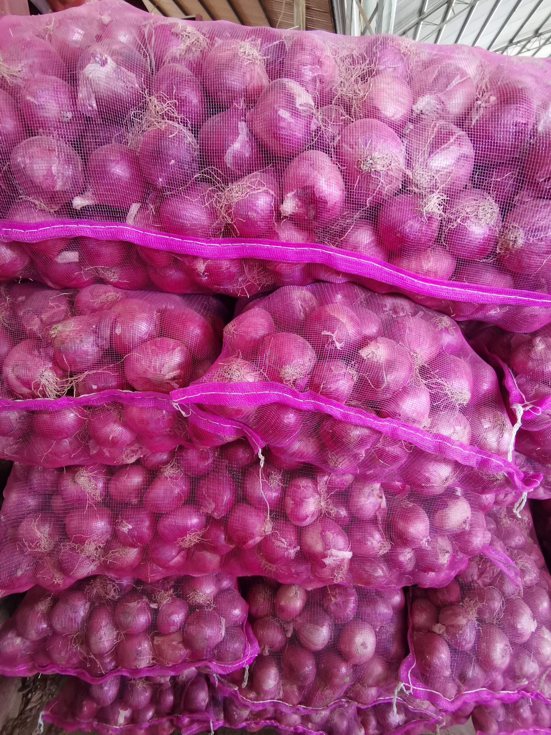 Fresh Onion / Red Onion/ Flat onion in mesh bag
