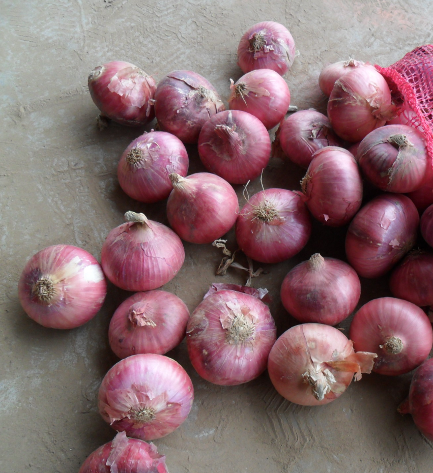 Fresh Onion / Red Onion/ Flat onion in mesh bag