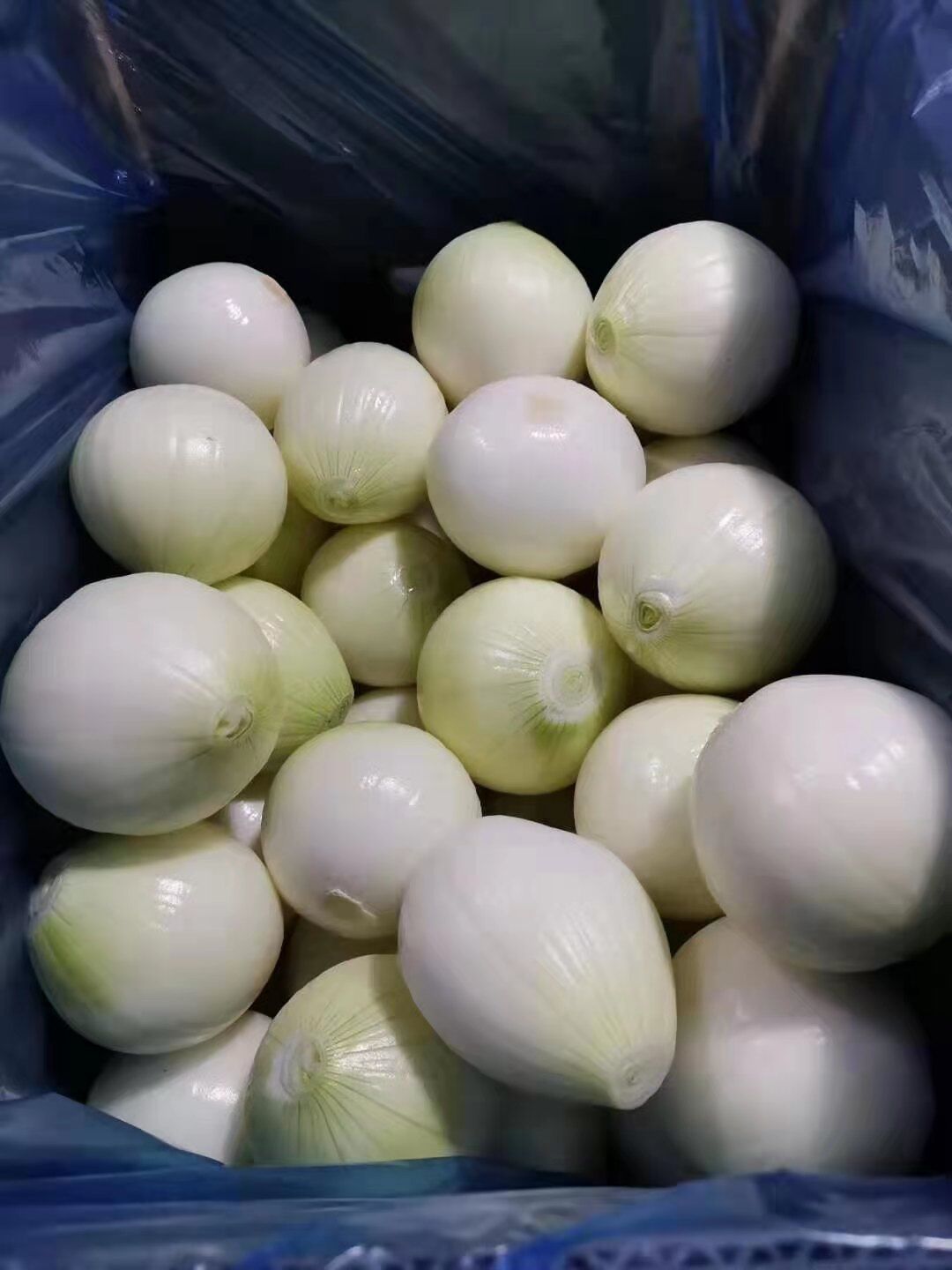 Peeled Yellow Onion