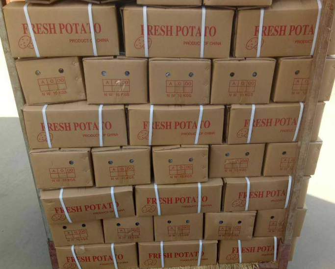 Fresh Potato / Holland 7 / 10kg carton / 8kg carton