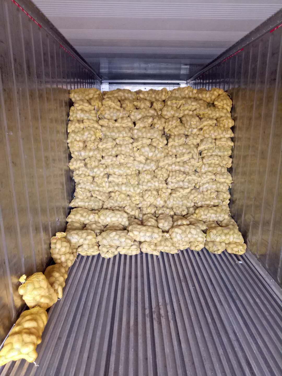 Fresh Potato / Holland 7 / 10kg carton / 8kg carton