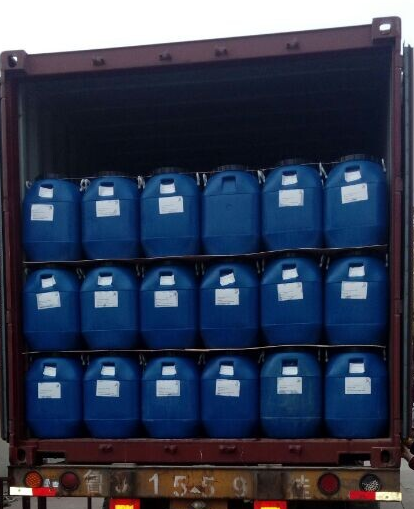 Fresh Peeled Garlic Cloves in Brine / Salted Peeled Garlic Cloves / Pickled Garlic Cloves