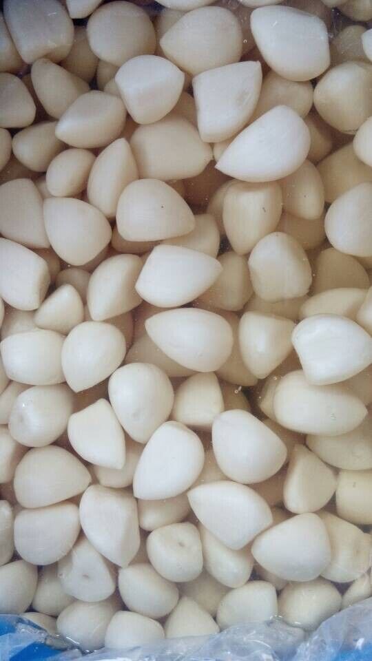 Fresh Peeled Garlic Cloves in Brine / Salted Peeled Garlic Cloves / Pickled Garlic Cloves