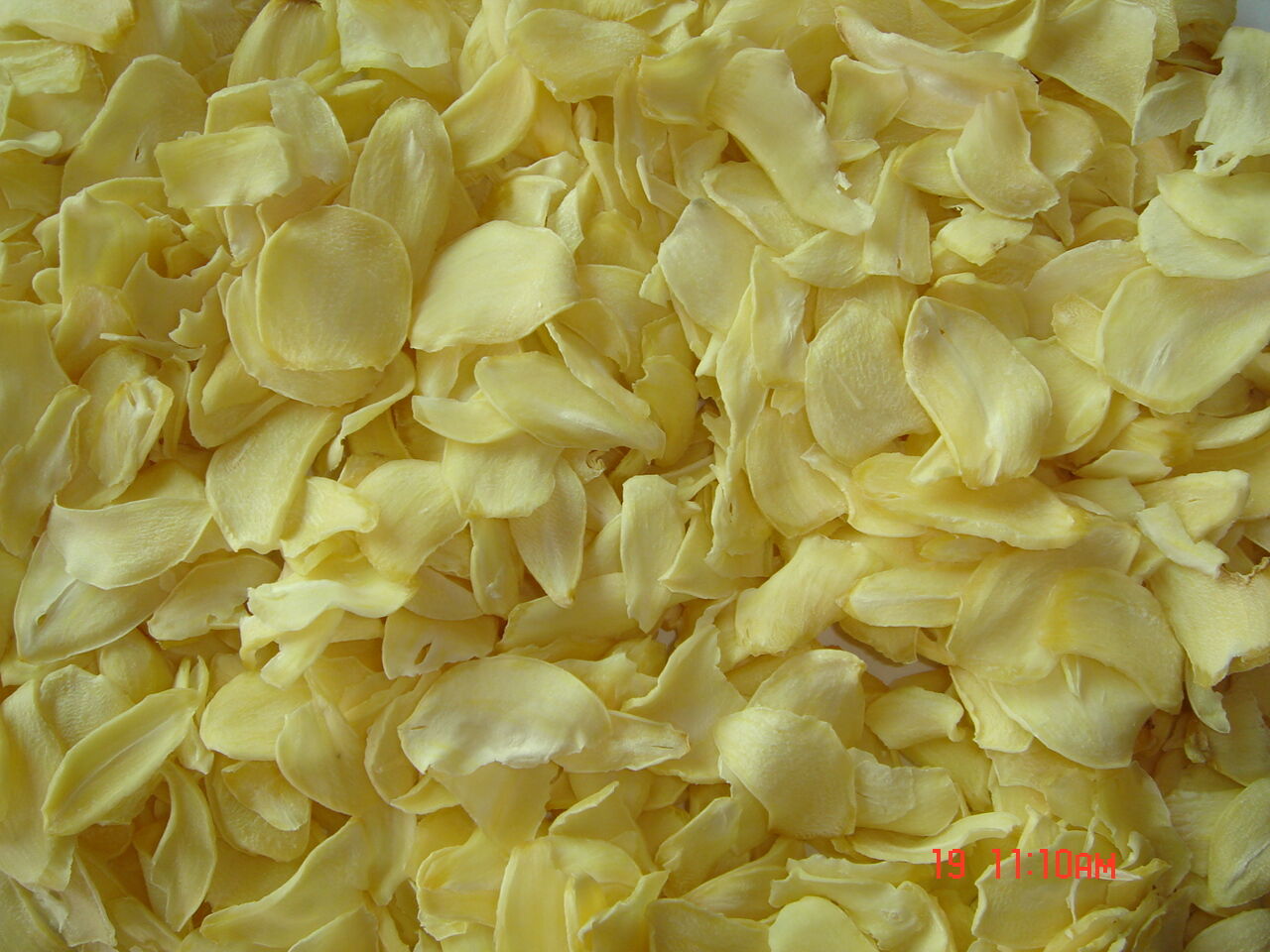 Dried Garlic Flakes