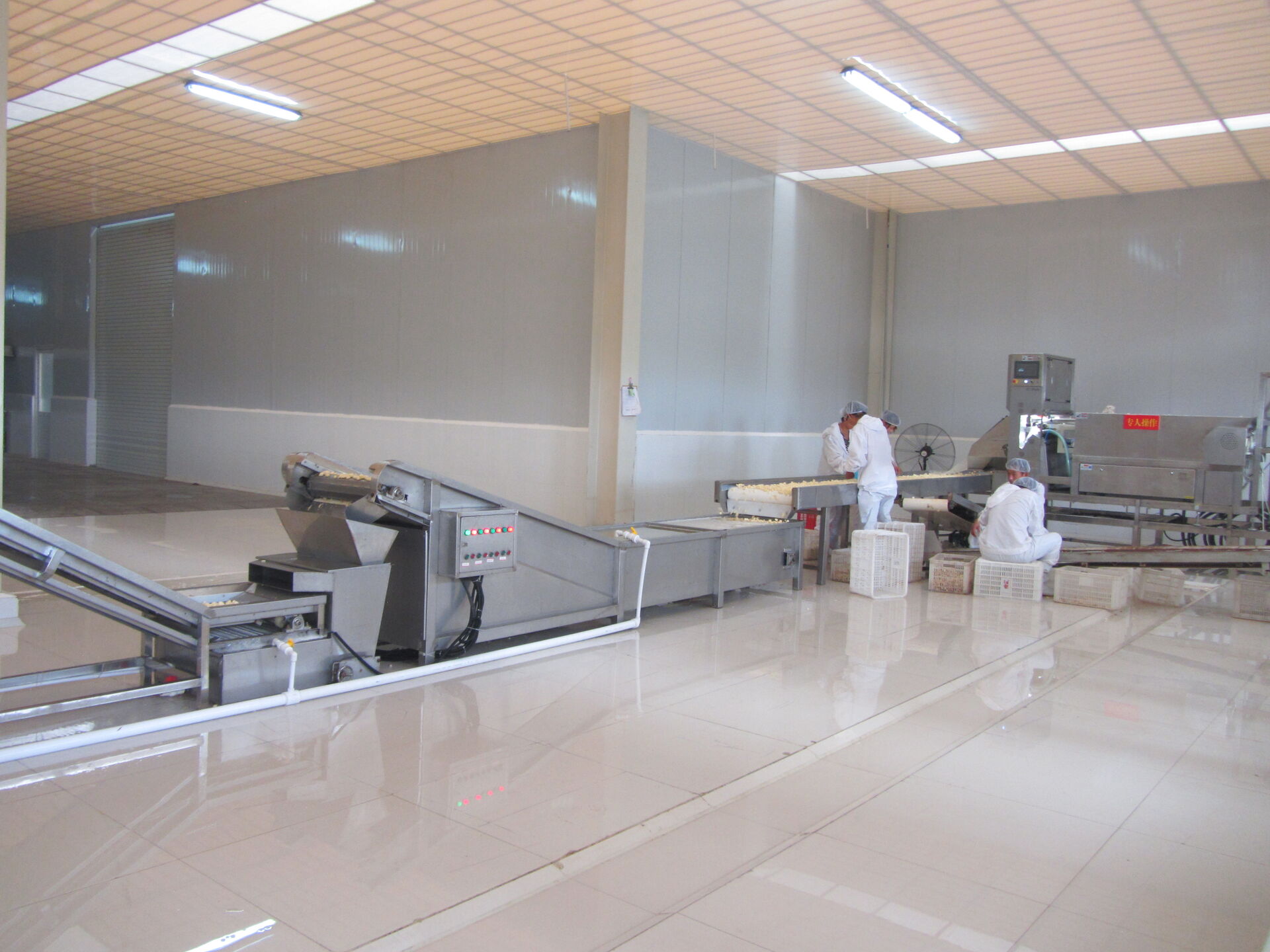 Garlic Granules  40-80mesh  G1