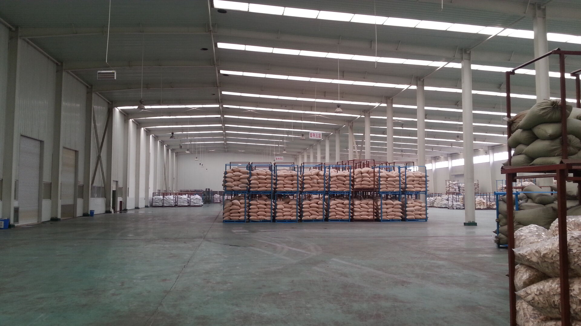 Garlic Granules  40-80mesh  G1